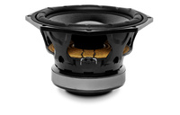 Głośnik Beyma 10NMFS 10" 350W